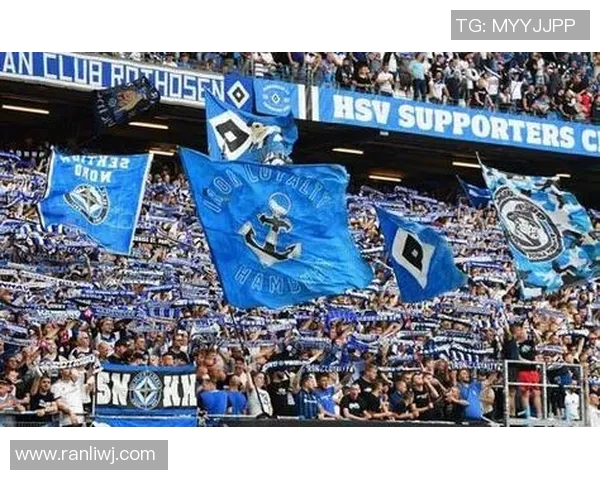 汉堡SV德甲赛场终结连败逆袭取得胜利 汉堡SV德甲赛场终结连败逆袭取得胜利