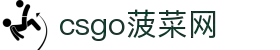 csgo菠菜网(中国区)有限公司官网